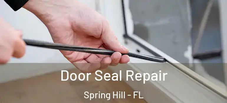  Door Seal Repair Spring Hill - FL