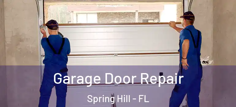  Garage Door Repair Spring Hill - FL