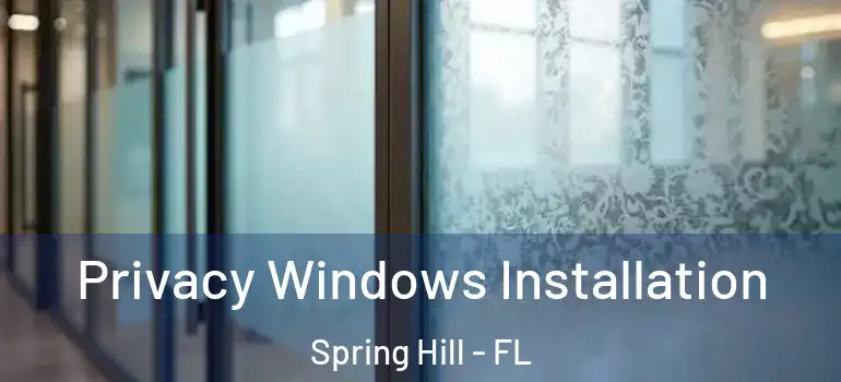  Privacy Windows Installation Spring Hill - FL