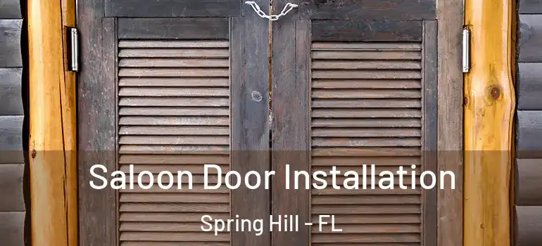  Saloon Door Installation Spring Hill - FL