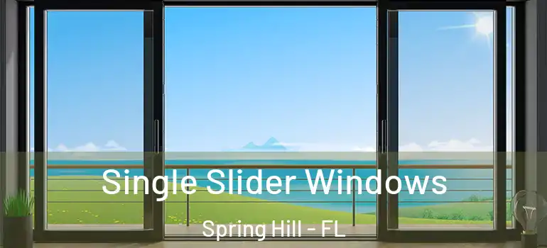  Single Slider Windows Spring Hill - FL